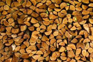 Front view of stack of firewood exposed to backlit sunlight through green foliage. chopped firewood stack for the background