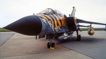 It is a tradition that every participating squadron brings a machine painted in a tiger design to...