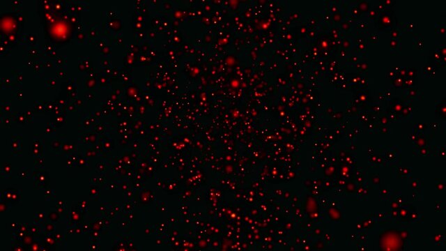 red particles that look like running blood vessels in the body 