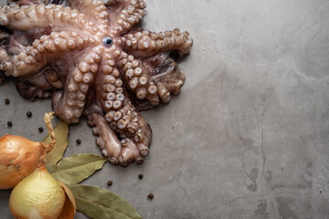 Whole raw small octopus with two yellow onions, bay leaves and pepper seeds on a concrete surface with copy space.