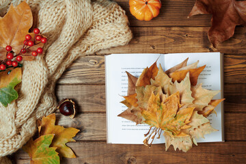 autumn background on wooden planks