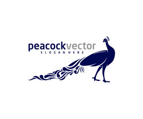 Peacock logo design vector template, Peacock bird illustration