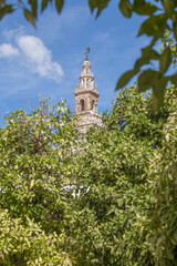 Fototapeta na wymiar The Giralda top between orange tree branches. Seville, Spain