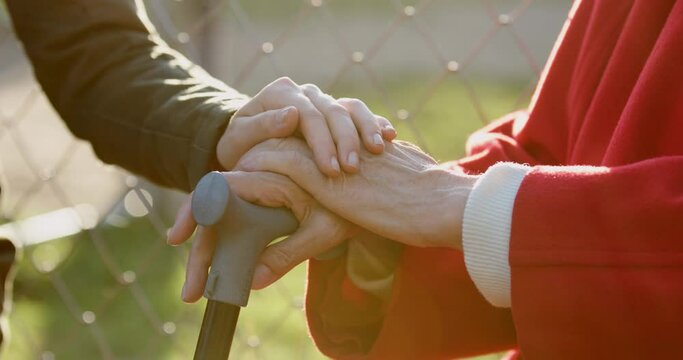 Caring woman adult daughter or doctor, caregiver, medical nurse puts her hand on the arms of an elderly woman. Elderly people health care, support, medicare and comfort concept. Close up view.