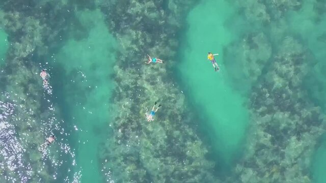 Florida Keys Snorkeling With Fish.