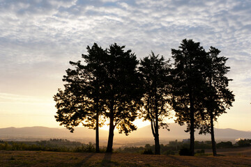 Landscape in Tuscany at sunset in summer