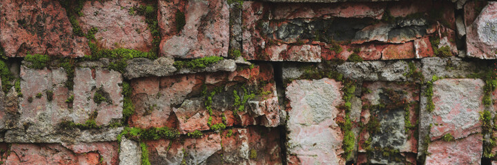 Brick wall made of old red brick with green moss. The picturesque brickwork is being destroyed by old age. Banner