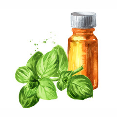 Fresh oregano twig and essential oil. Hand drawn watercolor illustration isolated on white background