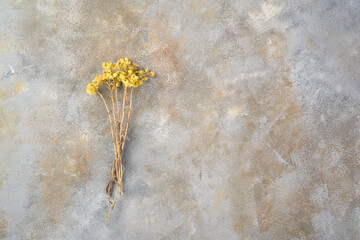 A bouquet of autumn dried wildflowers on a gray concrete background. Abstract background. Concept for your design.