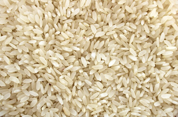 white rice background