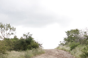 Photo Taken in Kruger National Park and Three Rondavels