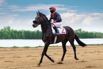 a jockey rides a brown horse on a racetrack on a sandy starting track