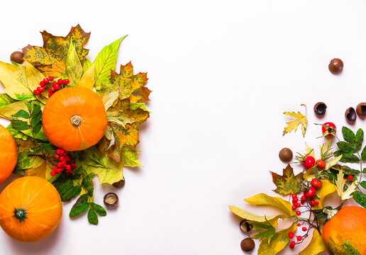 Autumn composition with pumpkins, yellow leaves, conkerberry