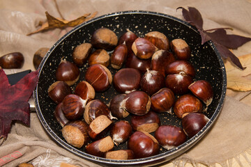 chestnuts in the pan to be roasted in autumn