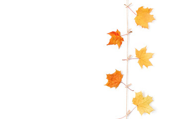Autumn composition. Yellow and red dried maple leaves are on a white background. Fall, thanksgiving day concept. Flat lay, top view, copy space.