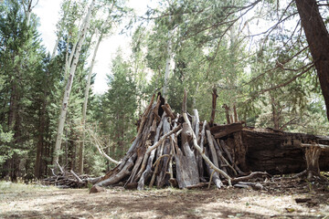 tree fort in the forest