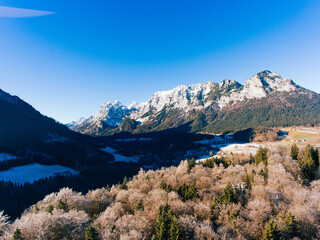 Mountainous terrain with trees on sunny day