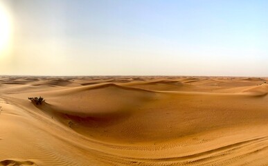 Sand dunes in the desert