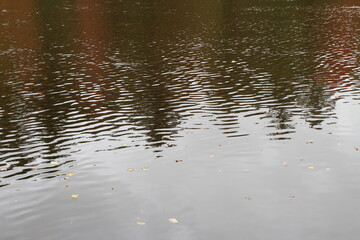 reflection in water