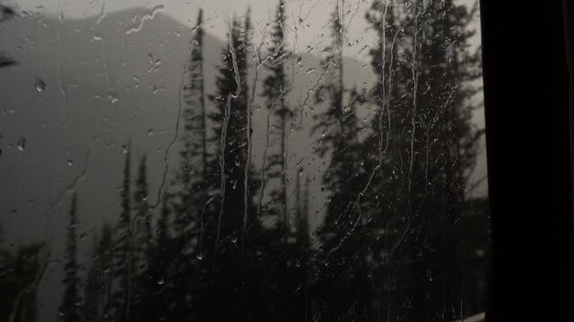 Rain and mist in Yellowstone valley.