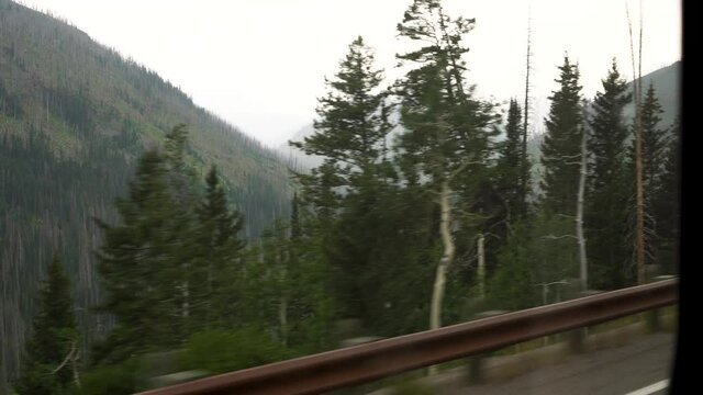 Misty Yellowstone valley shown in cold colors in the mist.