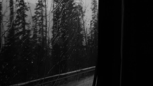 Rain patters on the window of a vehicle passing through the yellowstone forest.
