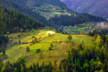 Rural landscape, National park Tara mountain, Serbia