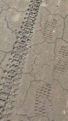 tire tracks in sand