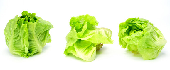 Organic salad vegetables on white background.	