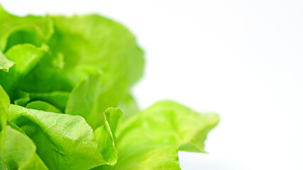 Organic salad vegetables on white background.	
