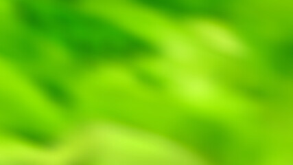 green abstract background with blurred defocus bokeh light.	