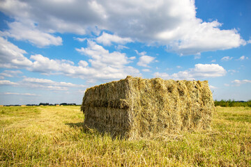 Perspective view of grass compacted in square silage bale in agricultural field and a sky with...