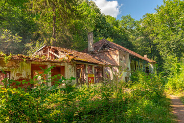 Fototapeta na wymiar ruins of old house in the woods