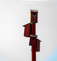 Pole with old worn red bird houses for nesting.