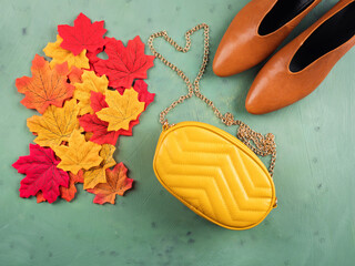 Female trendy yellow mustard handbag, pump shoes with autumn leaves over green background. Flat lay