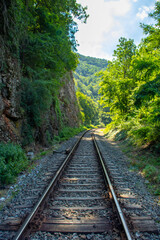 Obraz premium railway in the mountains