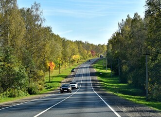 Cars are driving on the wrong side of the road in the woods. A nice Sunny autumn day. Long shadows...