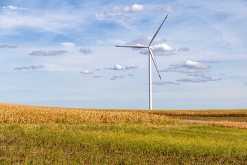 Wind turbine rotor with blades