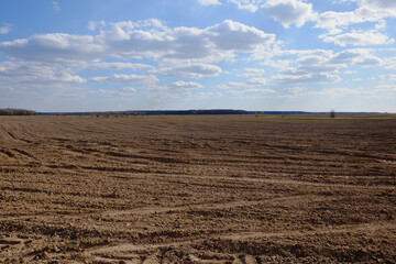 A plowed agricultural field. Blue sky over a farm field.