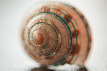 Caracol
