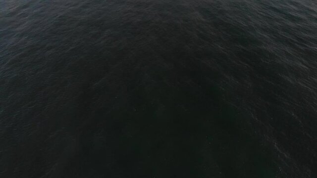 Aerial Drone Marina Footage