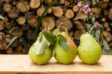 Group of pears on boards