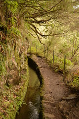 Hiking along the coast, by the waterfalls and in the green levadas of Madeira Island in Portugal