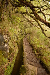 Hiking along the coast, by the waterfalls and in the green levadas of Madeira Island in Portugal