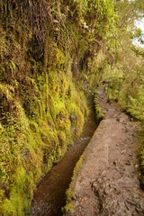 Hiking along the coast, by the waterfalls and in the green levadas of Madeira Island in Portugal