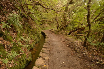 Fototapeta na wymiar Hiking on the green paths of the levadas and waterfalls on Madeira Island in Portugal