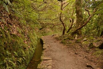 Fototapeta premium Hiking on the green paths of the levadas and waterfalls on Madeira Island in Portugal