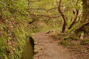 Hiking on the green paths of the levadas and waterfalls on Madeira Island in Portugal