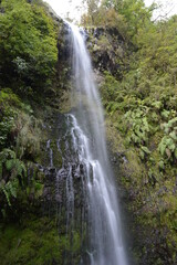 Hiking on the green paths of the levadas and waterfalls on Madeira Island in Portugal