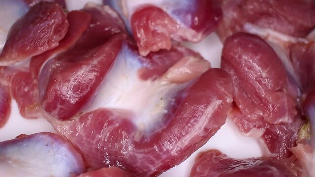 Raw Gizzard Texture Closeup Video Seamless Looping